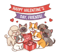 a valentines day gift